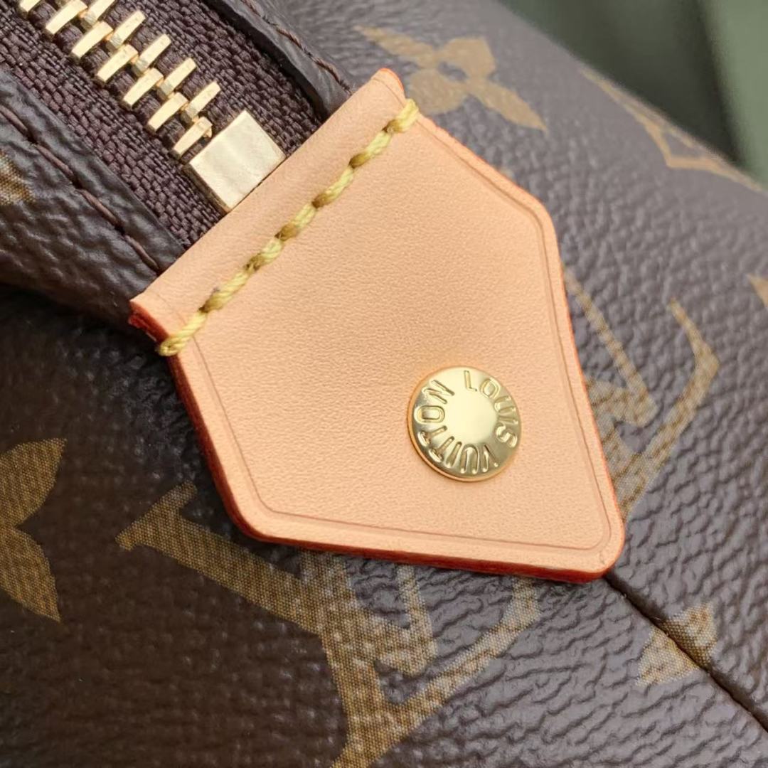 LOUIS VUITTON VIVIENNE 27 IN BROWN MONOGRAM COATED CANVAS GOLD LOCK